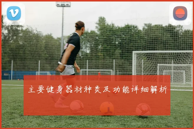 主要健身器材种类及功能详细解析
